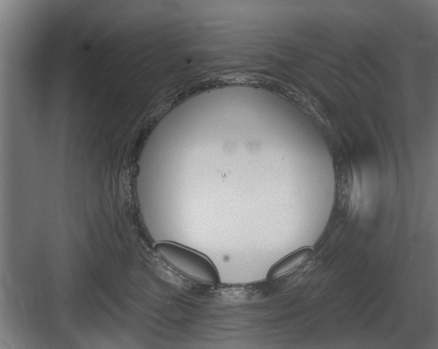 X0000083610473200702120728