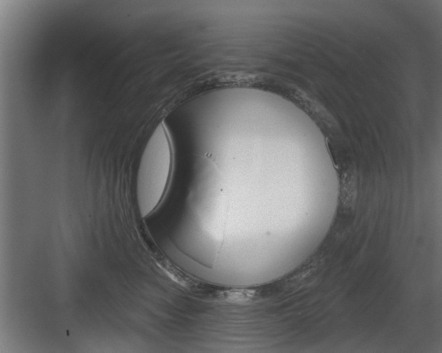 X0000083610474200702120728