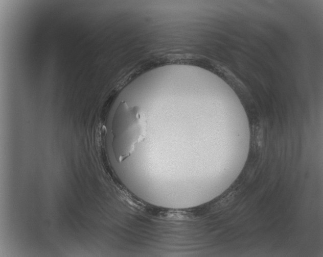 X0000083610475200702120728