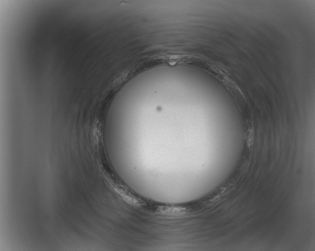 X0000083610476200702120728