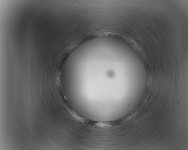 X0000083610477200702120728