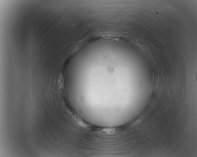 X0000083610478200702120728