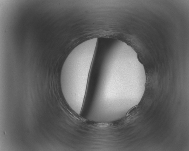 X0000083610479200702120728