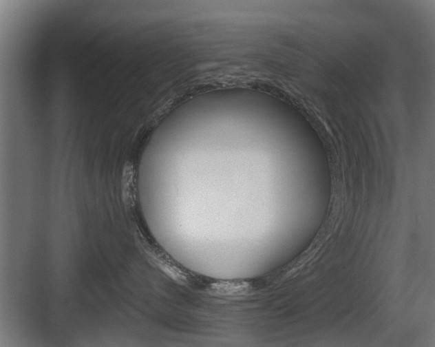 X0000083610480200702120728