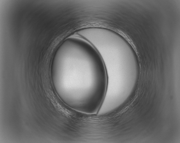 X0000083610481200702120727