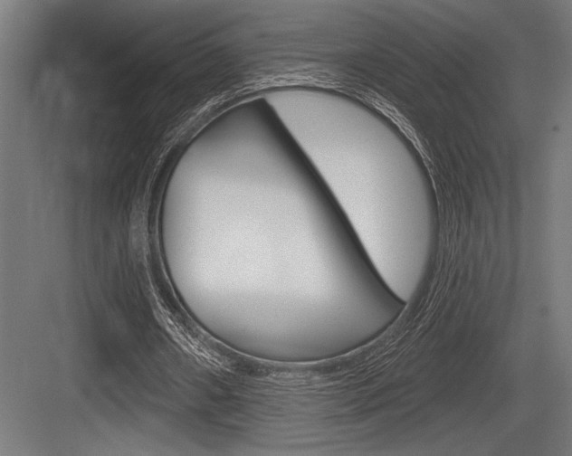 X0000083610482200702120727