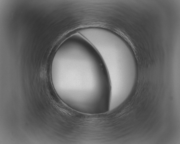 X0000083610483200702120727