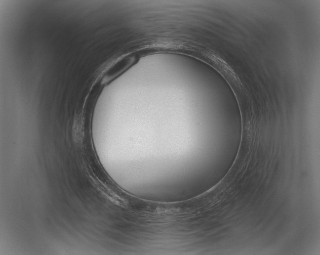 X0000083610484200702120727