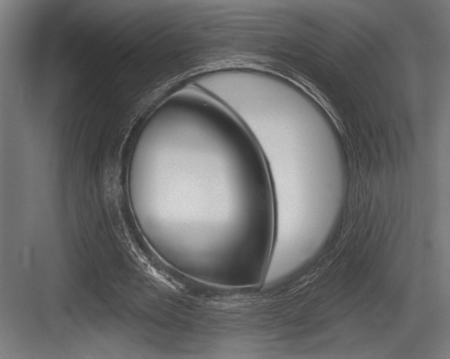 X0000083610485200702120727