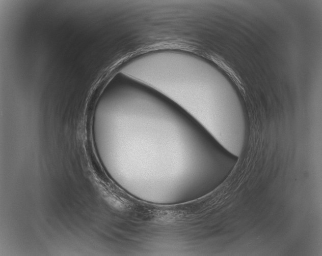 X0000083610486200702120727