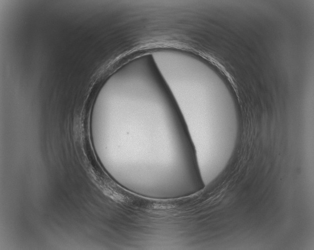 X0000083610487200702120727