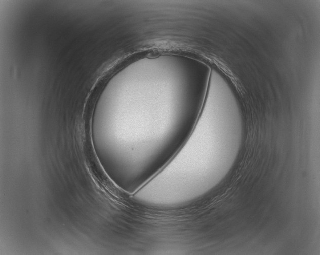 X0000083610488200702120727