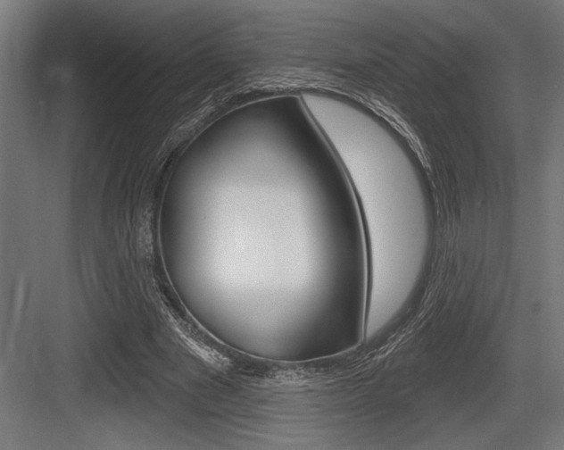 X0000083610489200702120727