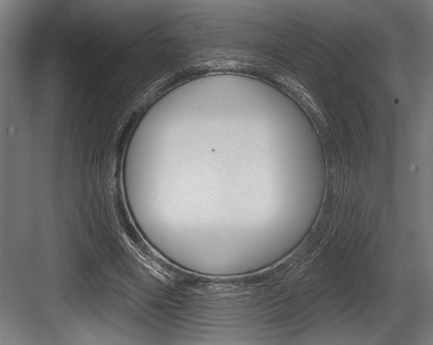 X0000083610490200702120727