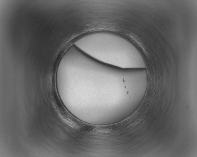 X0000083610491200702120727