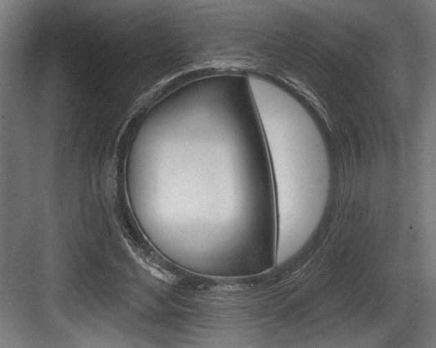 X0000083610492200702120727