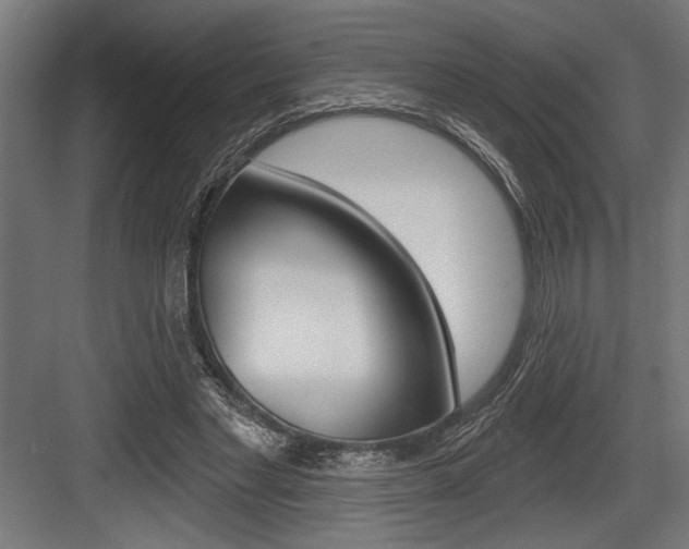 X0000083610493200702120727