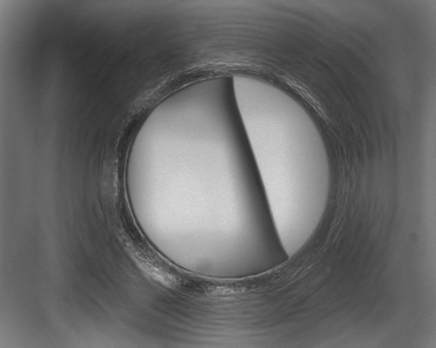 X0000083610494200702120727