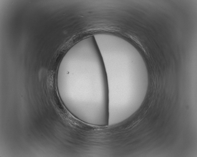 X0000083610495200702120727