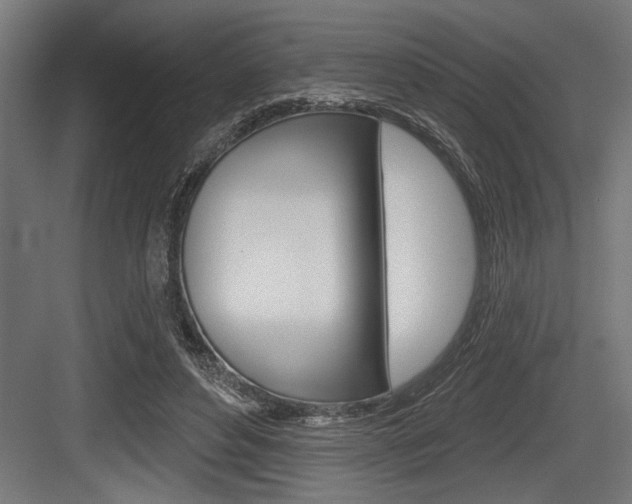 X0000083610496200702120727