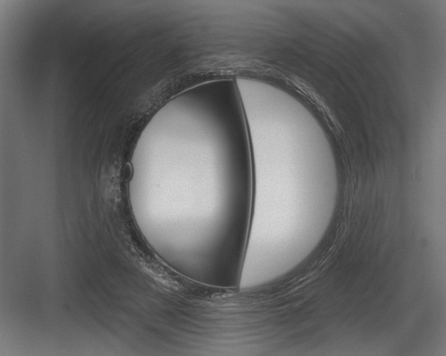 X0000083610497200702120727