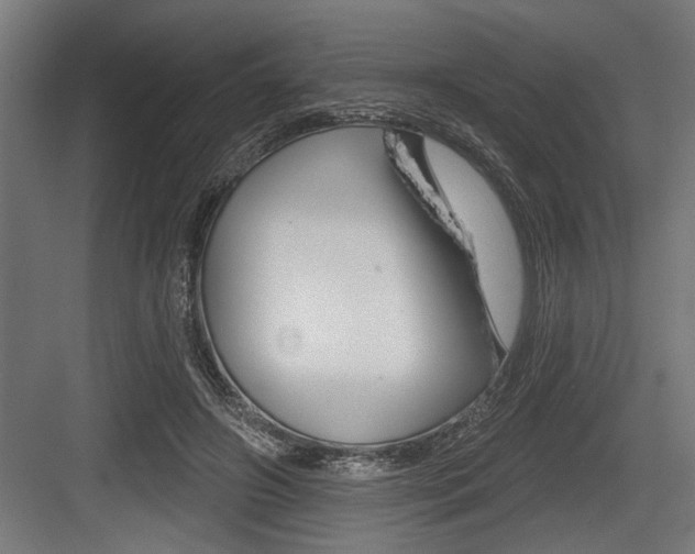 X0000083610498200702120727