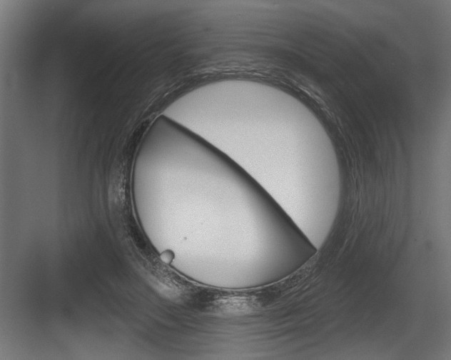 X0000083610499200702120727