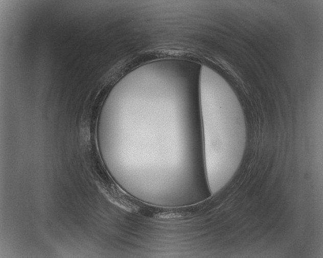 X0000083610500200702120727