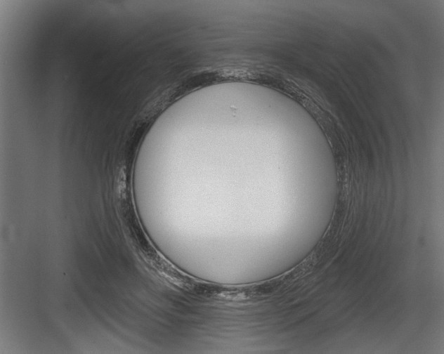 X0000083610502200702120727