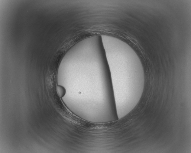 X0000083610503200702120727