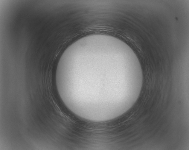 X0000083610504200702120727