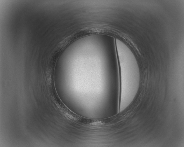 X0000083610505200702120727