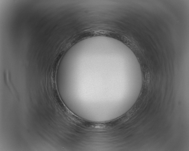 X0000083610506200702120727