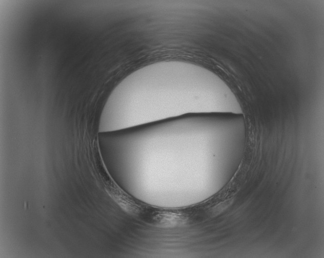 X0000083610507200702120727