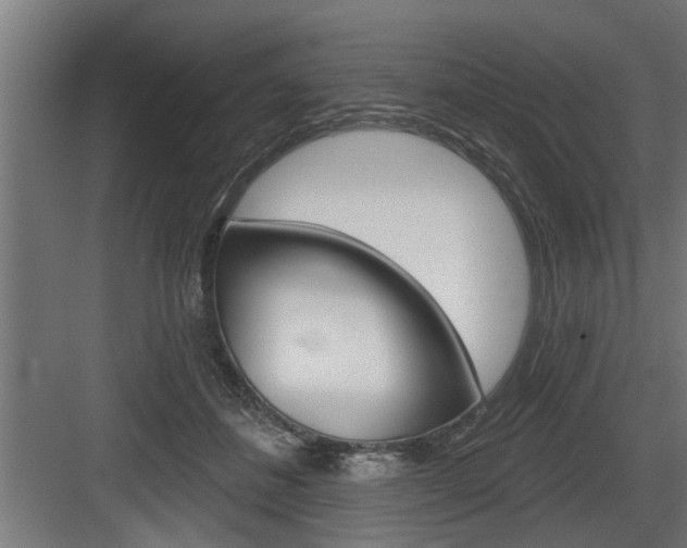 X0000083610508200702120727