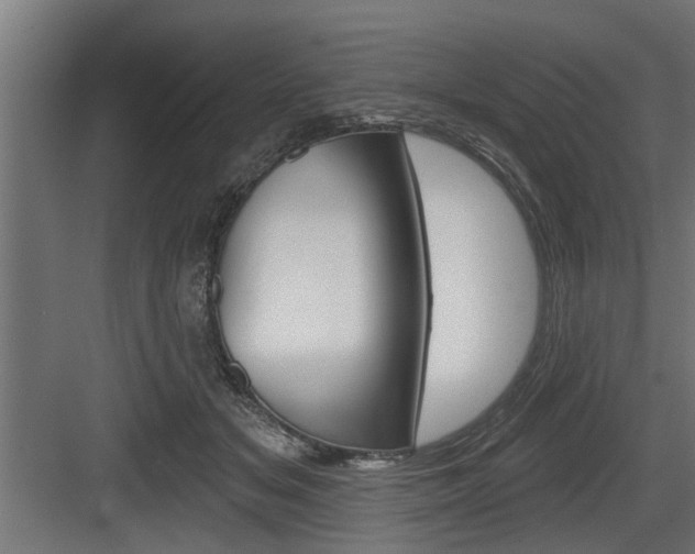 X0000083610509200702120727