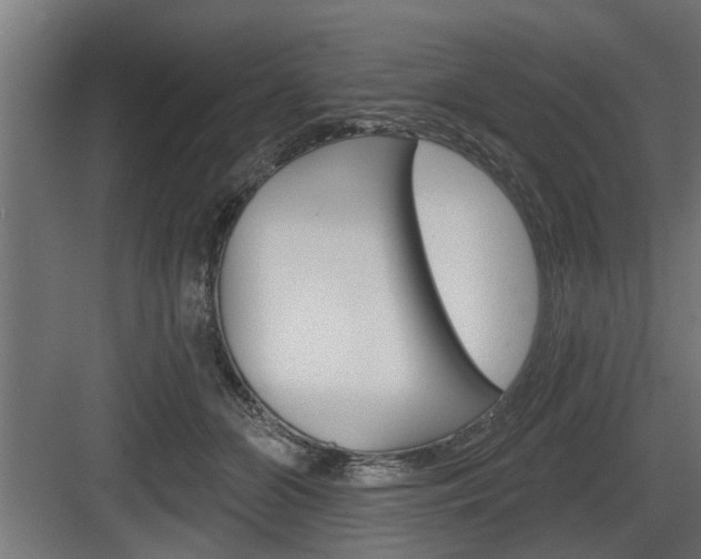 X0000083610510200702120727