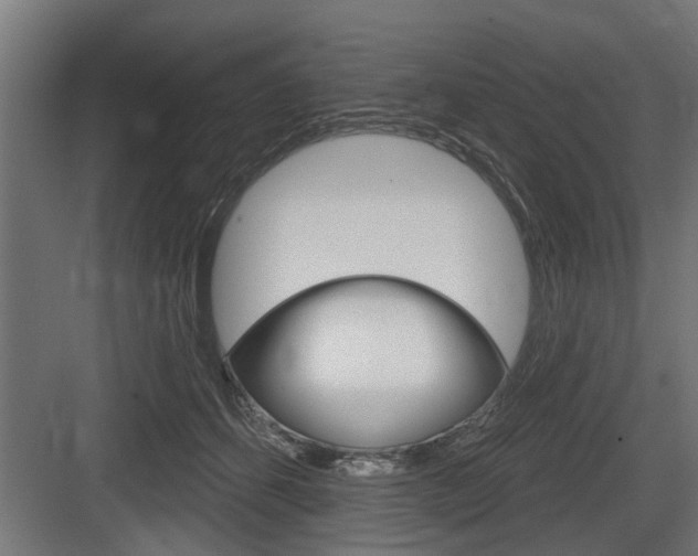 X0000083610512200702120727