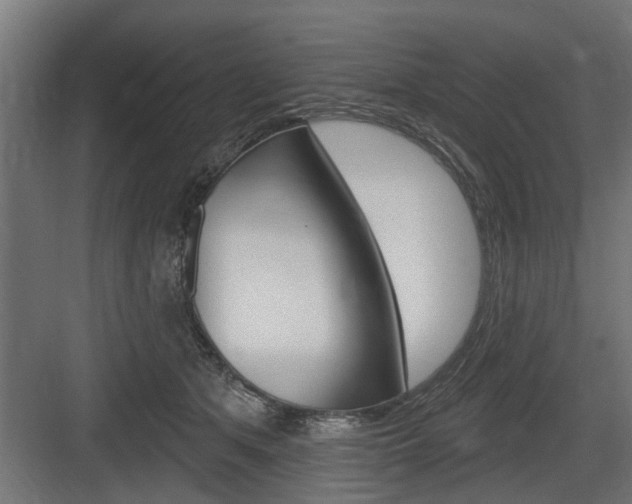 X0000083610513200702120727