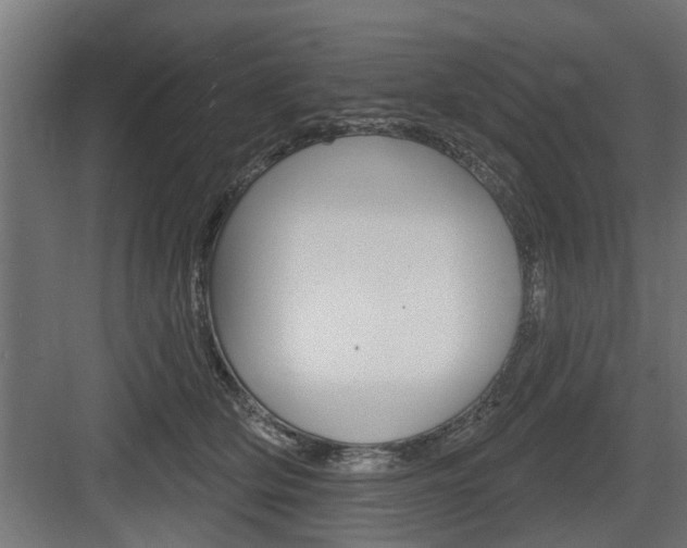 X0000083610514200702120727