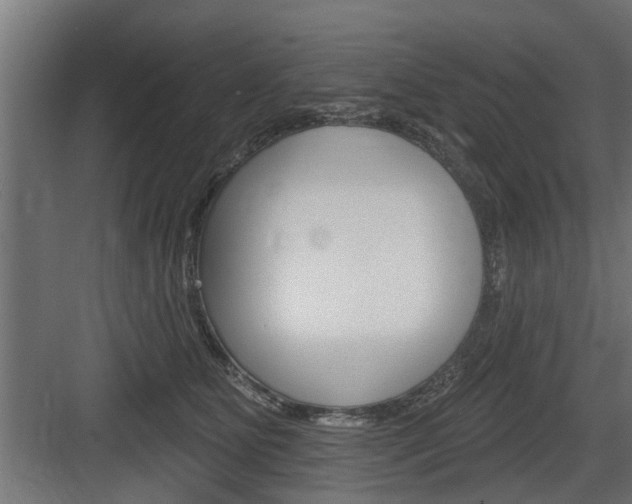 X0000083610515200702120727