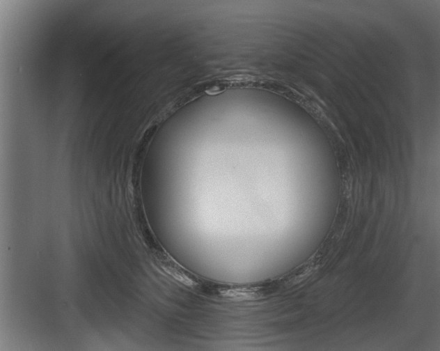 X0000083610516200702120727