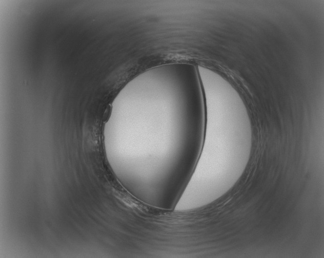 X0000083610517200702120727