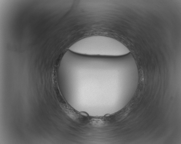 X0000083610519200702120727