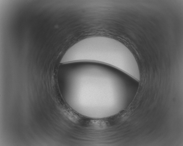 X0000083610520200702120727