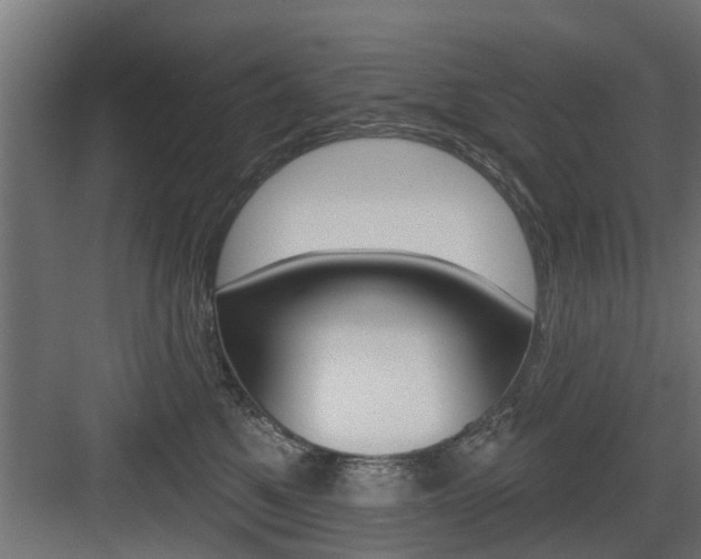 X0000083610521200702120727