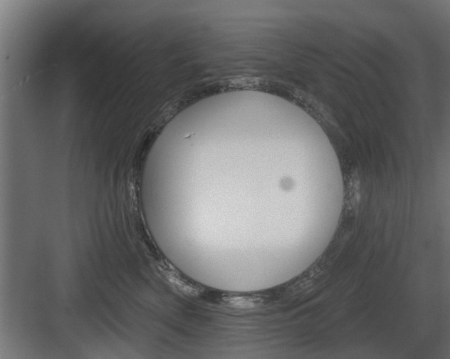 X0000083610522200702120727