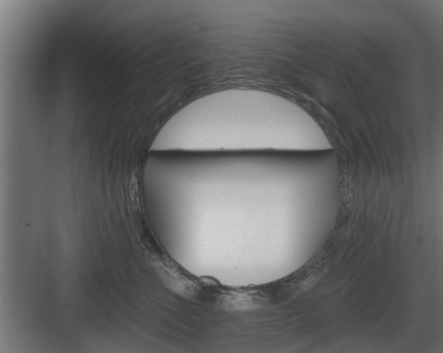 X0000083610523200702120727