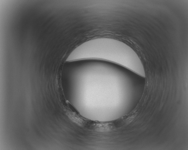 X0000083610524200702120727