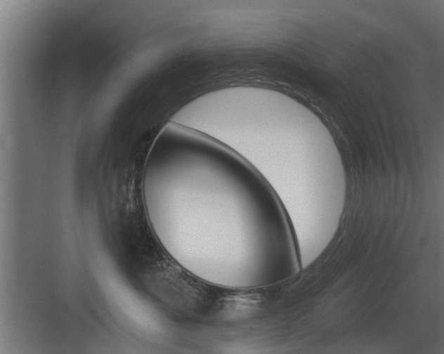 X0000083610525200702120727